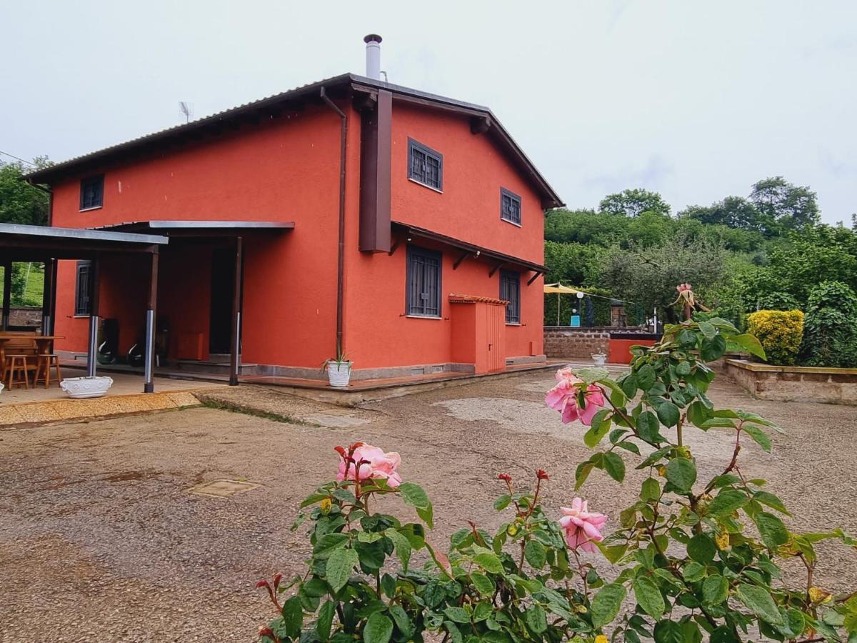 Country House Dolce Nocciola Vignanello Ngoại thất bức ảnh