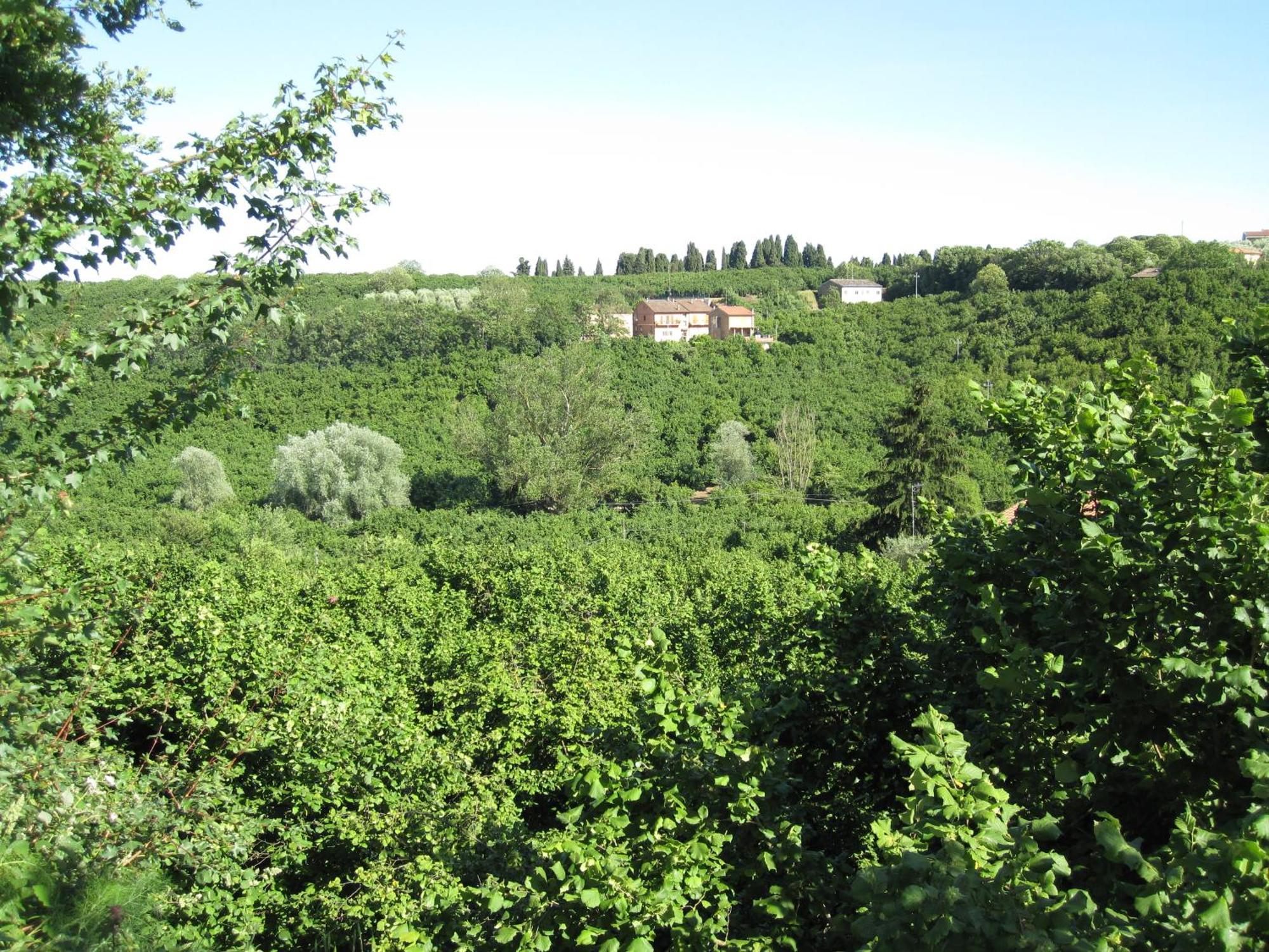 Country House Dolce Nocciola Vignanello Ngoại thất bức ảnh